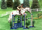 Jumper, Equine Art - Amy Millar